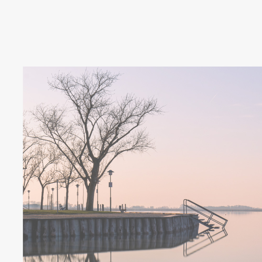 Naturfotografie Baum am Neusiedlersee im Sonnenaufgang