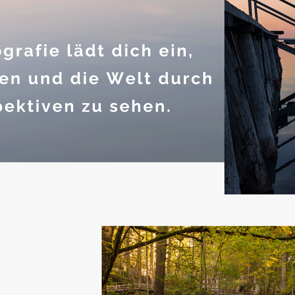 Naturfotografie als Achtsamkeit