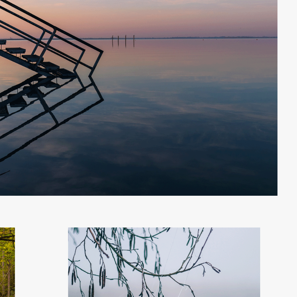 Naturaufnahme einer Treppe die sich im See spiegelt