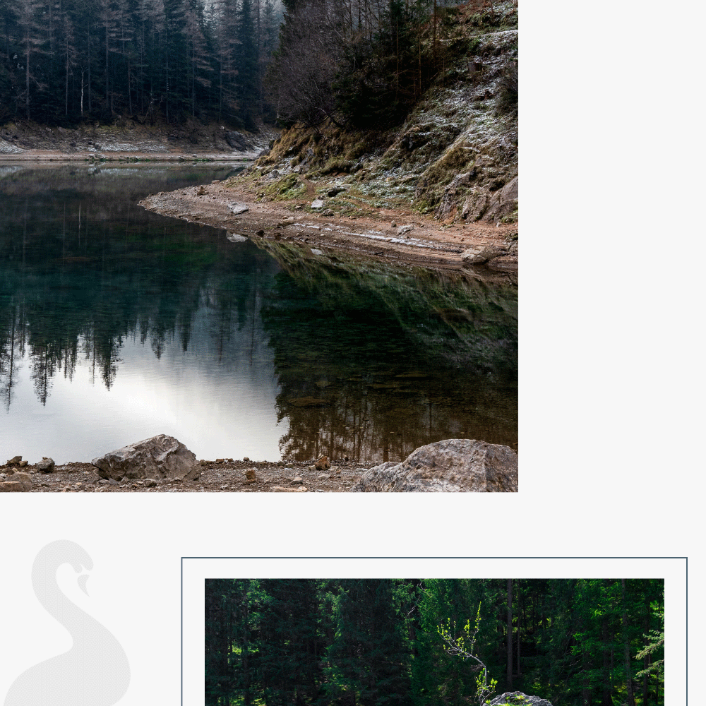 Nebelstimmung am Grünen See mit Spiegelung der Bäume im glatten Wasser