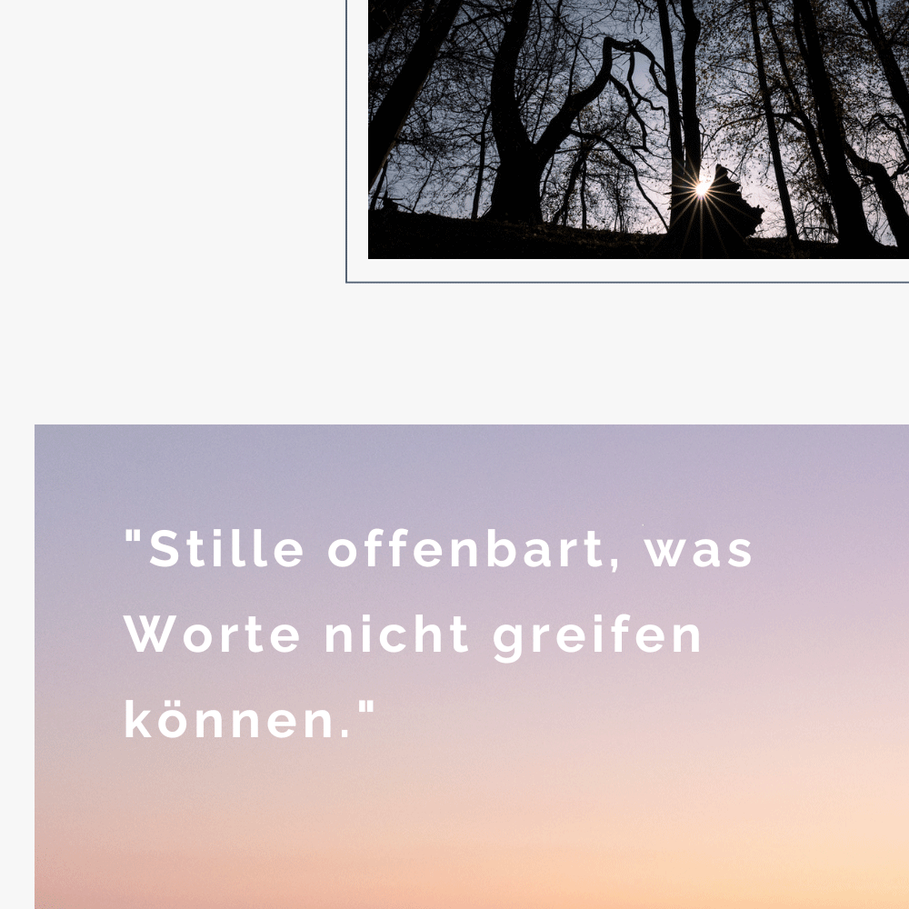 Naturaufnahme Mystischer Wald mit Blendenstern zwischen den Bäumen.